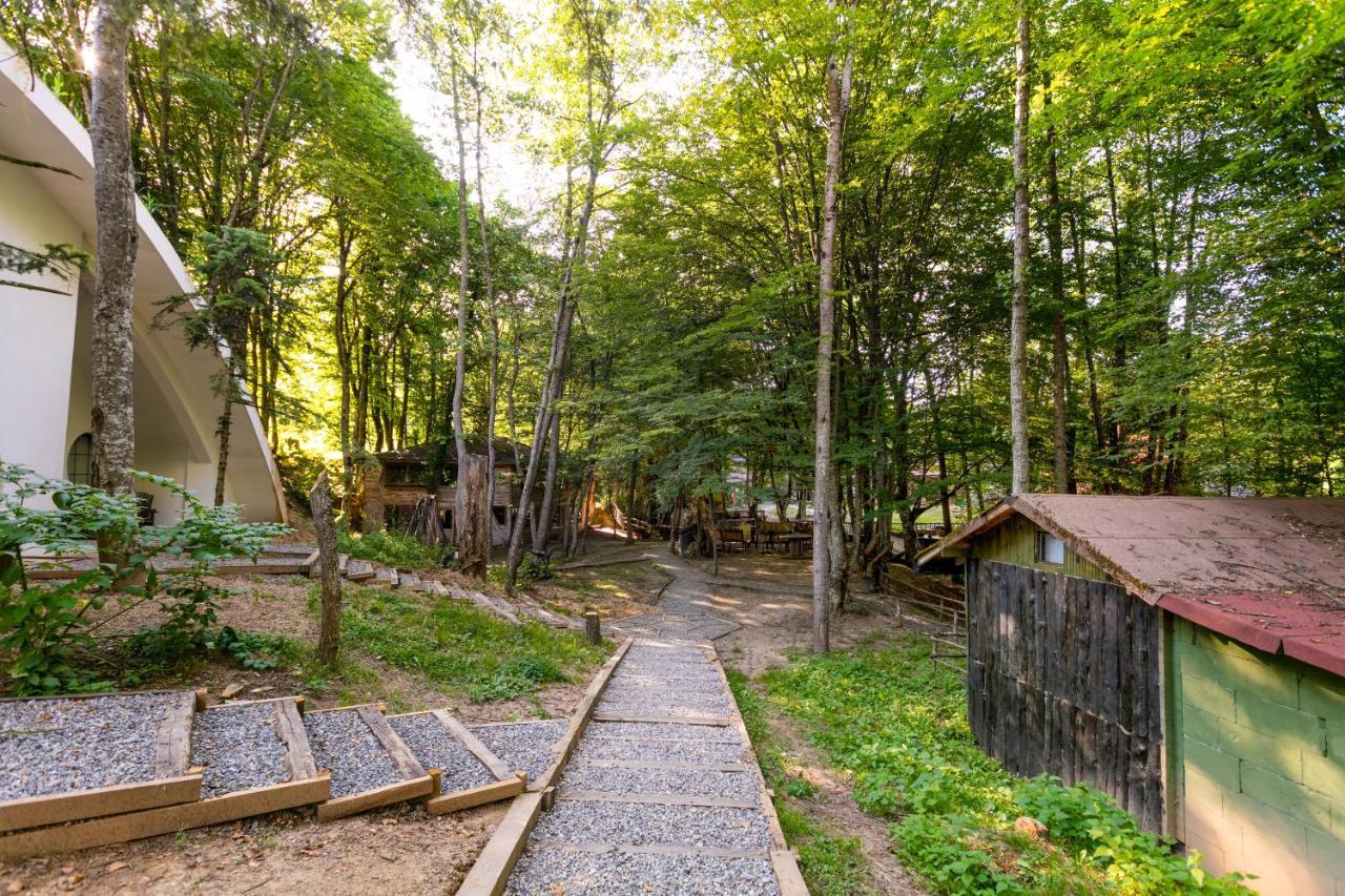 Hotel Hindiba Doga Evi Mengen Zewnętrze zdjęcie