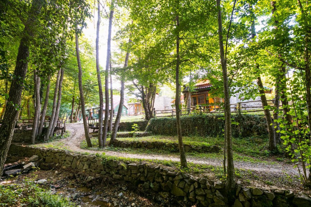 Hotel Hindiba Doga Evi Mengen Zewnętrze zdjęcie